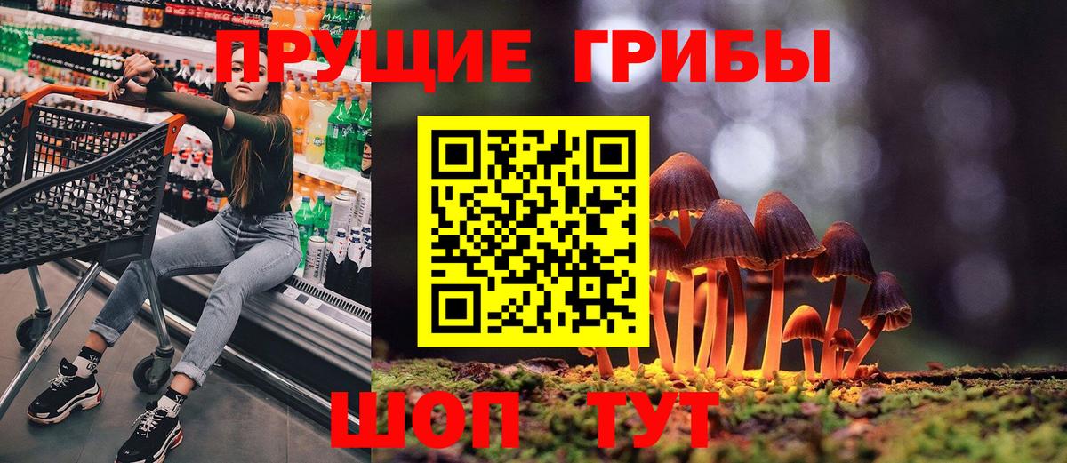 Лесозаводск  Псилоцибиновые грибы MAGIC MUSHROOMS  Галлюциногенные грибы прущие грибы  Вход с VPN 