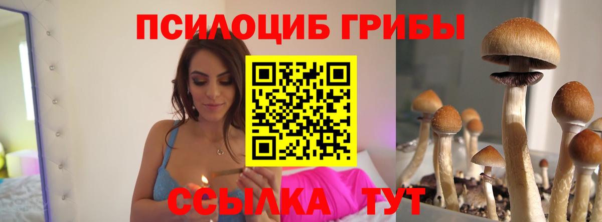 Галлюциногенные грибы MAGIC MUSHROOMS Лесозаводск